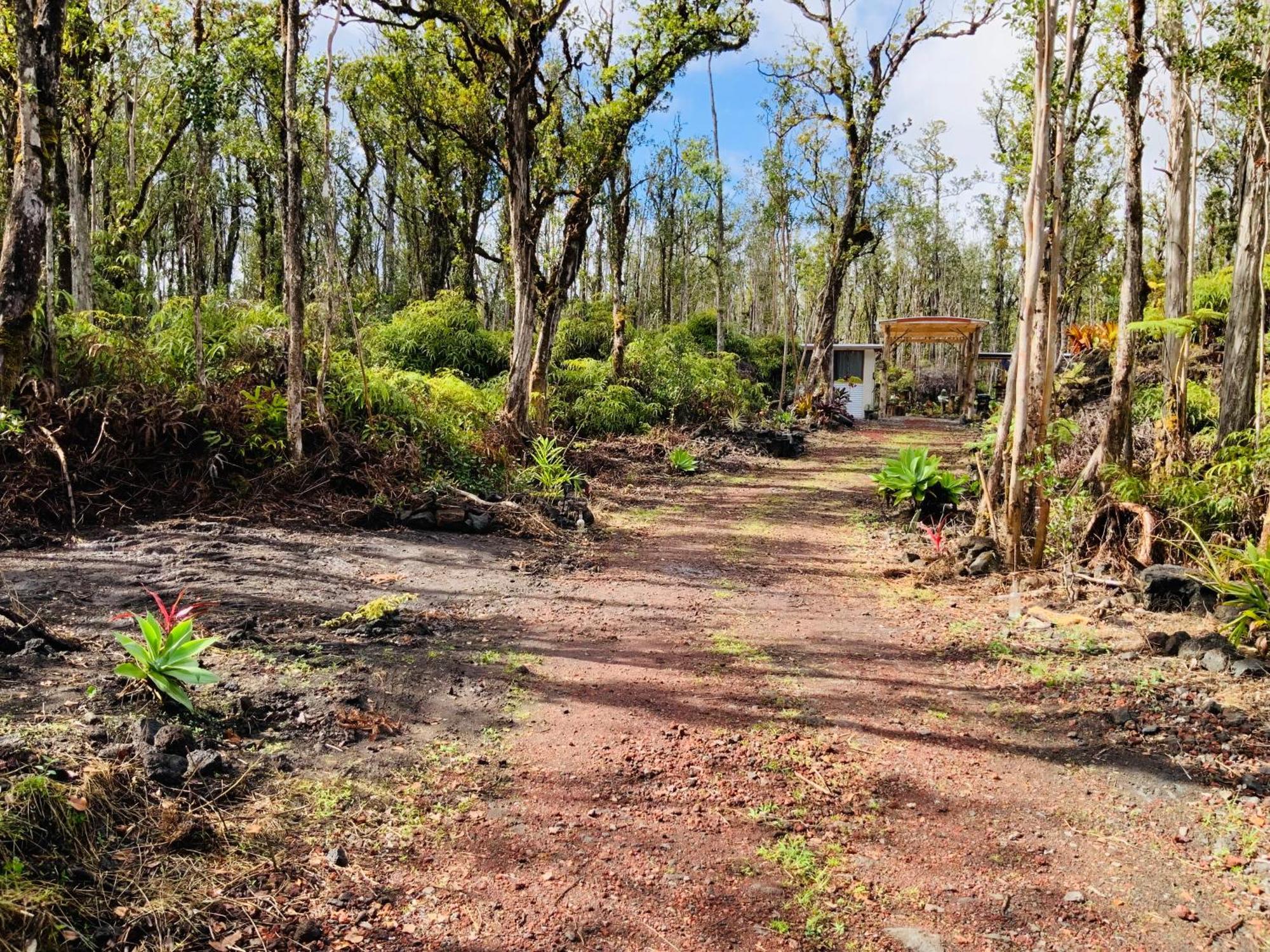 Exotic Garden Cottage At Amazing Volcano Fissure Mountain View Eksteriør bilde
