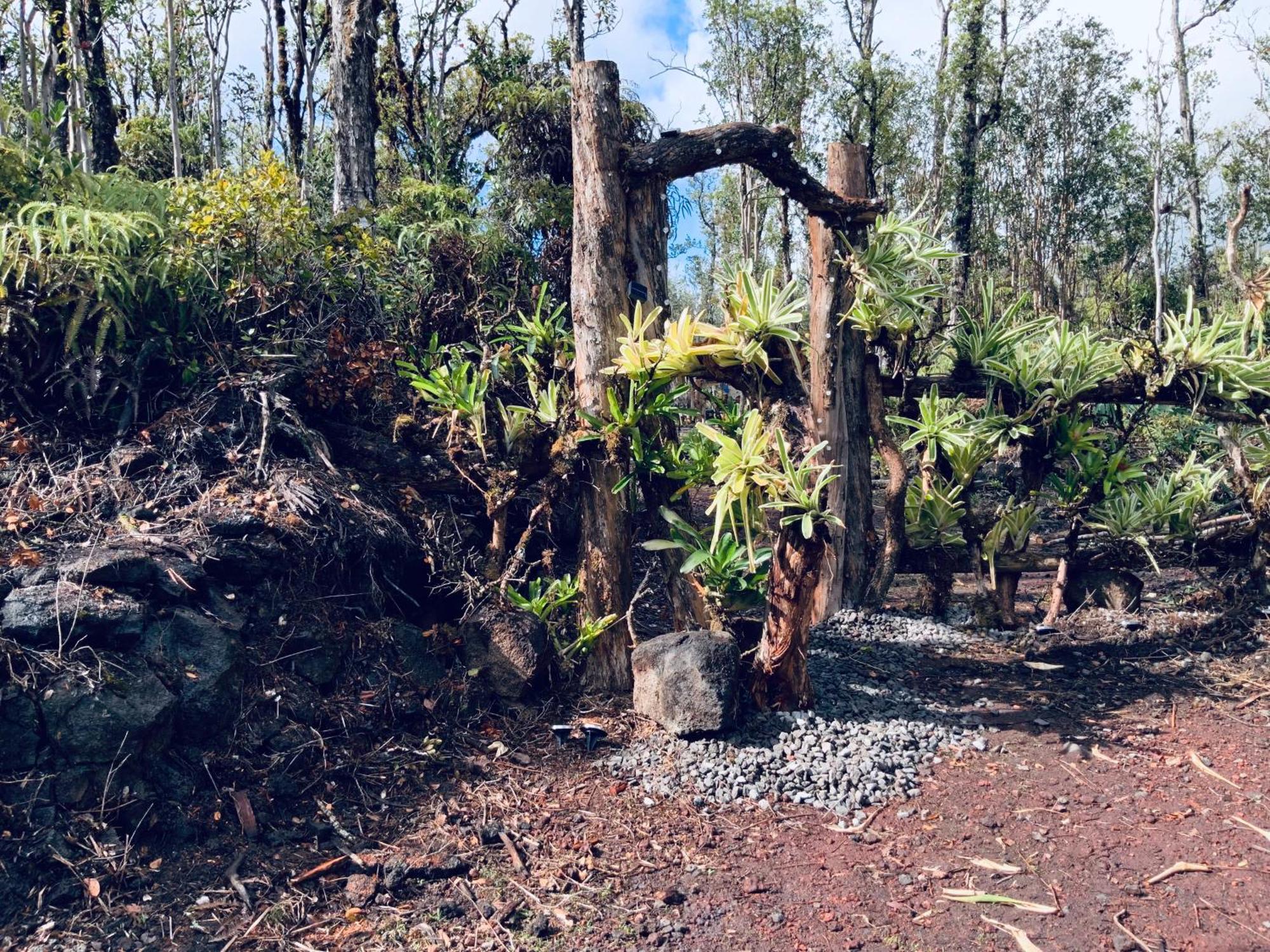 Exotic Garden Cottage At Amazing Volcano Fissure Mountain View Eksteriør bilde
