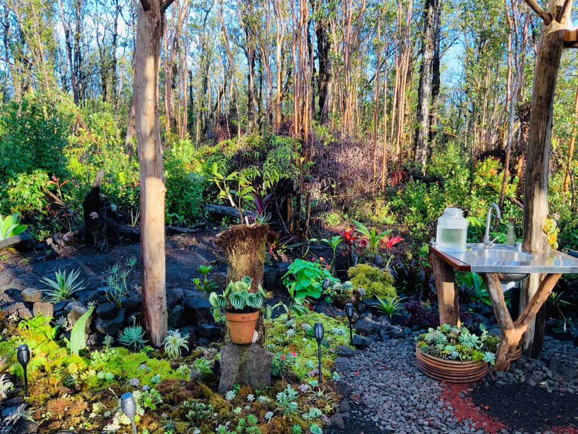 Exotic Garden Cottage At Amazing Volcano Fissure Mountain View Eksteriør bilde