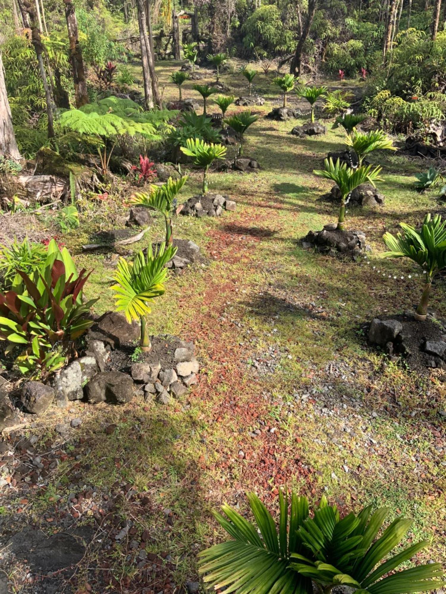 Exotic Garden Cottage At Amazing Volcano Fissure Mountain View Eksteriør bilde