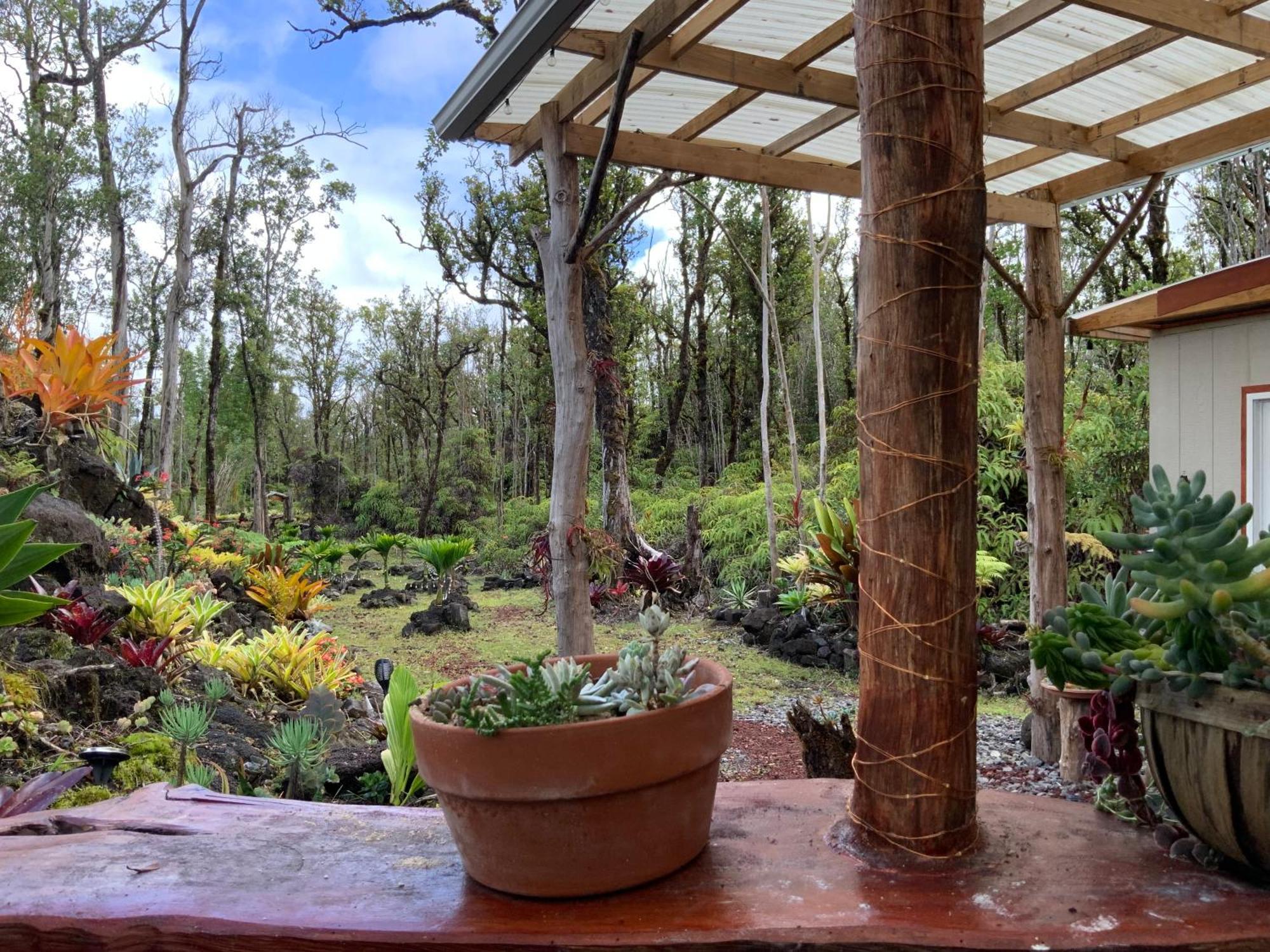 Exotic Garden Cottage At Amazing Volcano Fissure Mountain View Eksteriør bilde