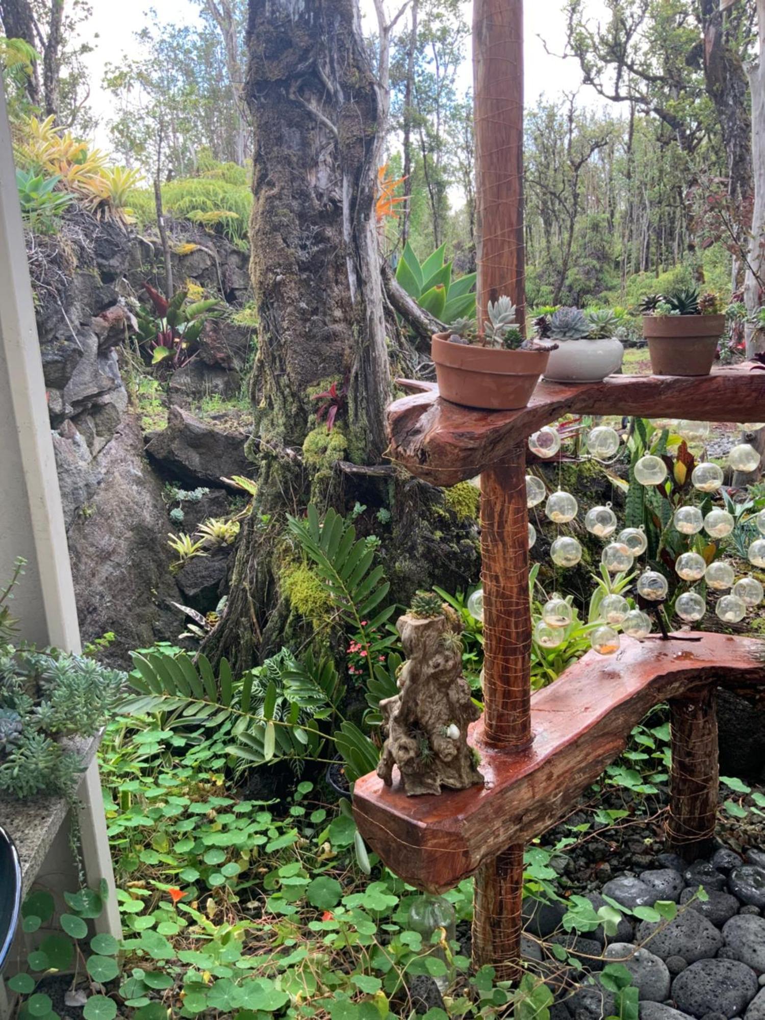 Exotic Garden Cottage At Amazing Volcano Fissure Mountain View Eksteriør bilde