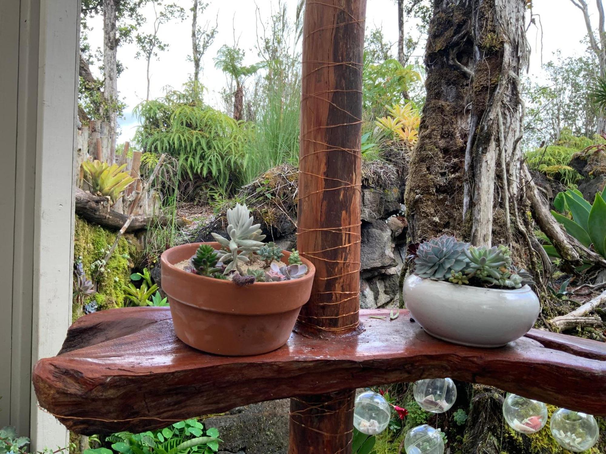 Exotic Garden Cottage At Amazing Volcano Fissure Mountain View Eksteriør bilde