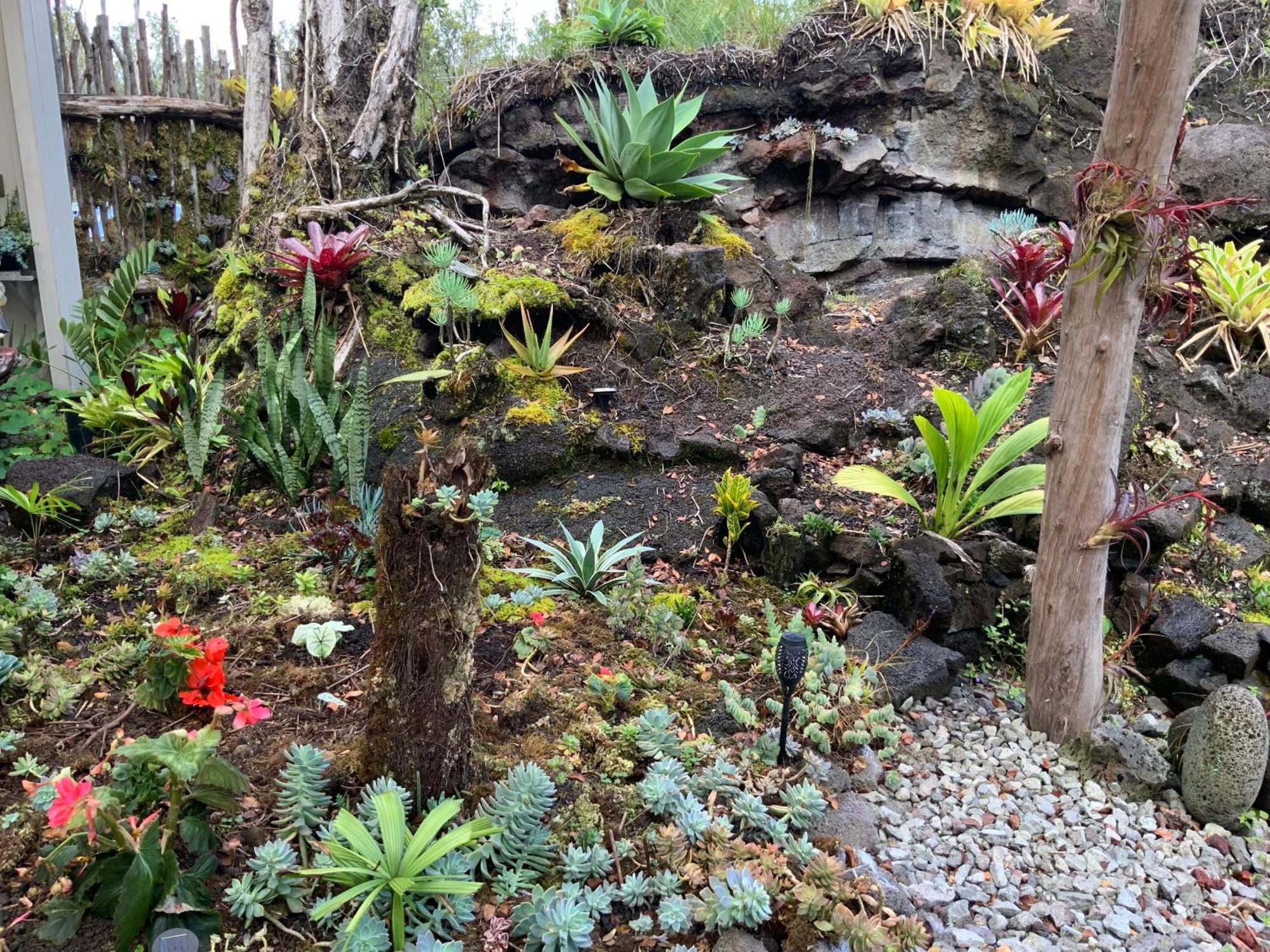 Exotic Garden Cottage At Amazing Volcano Fissure Mountain View Eksteriør bilde