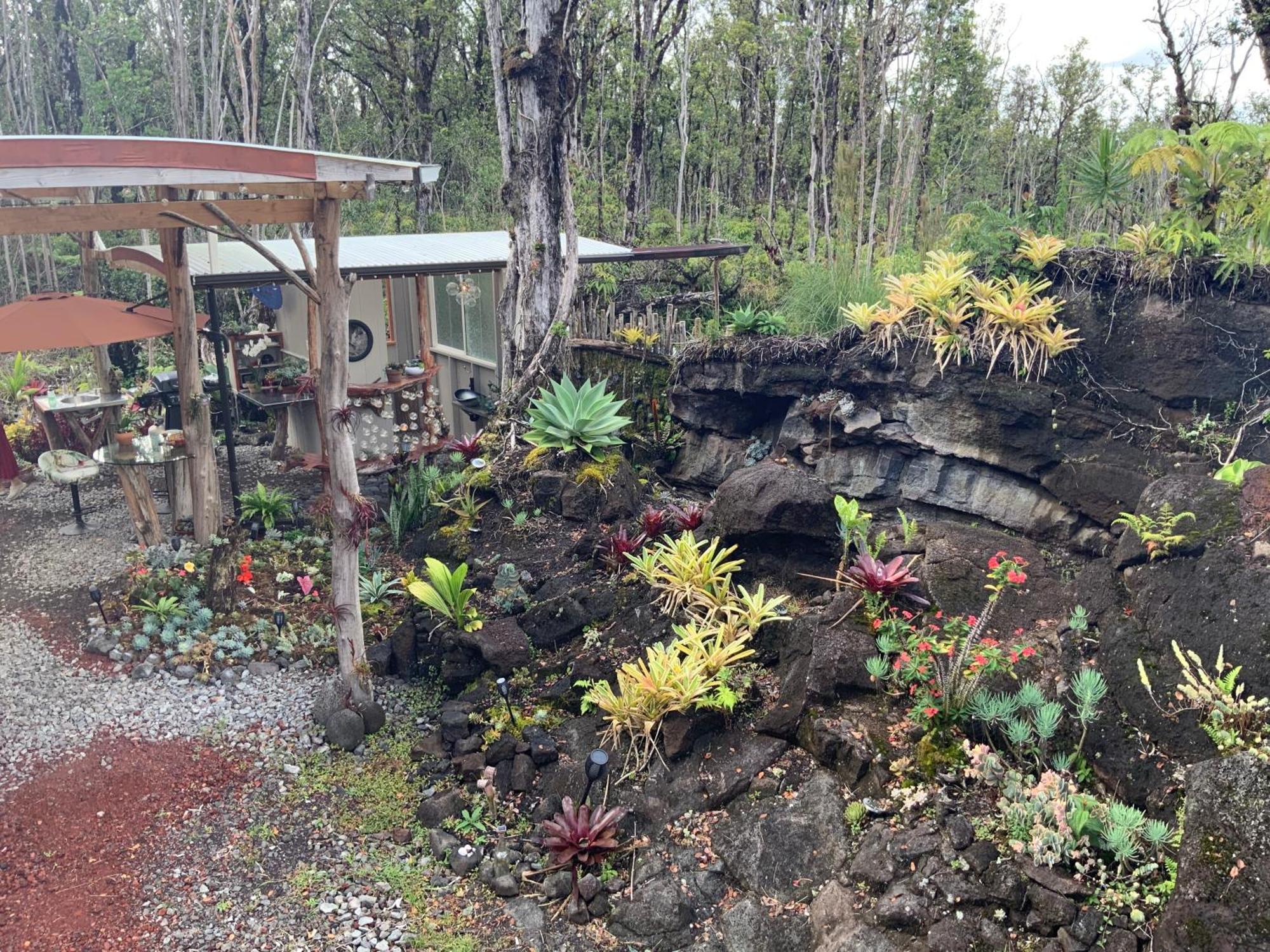 Exotic Garden Cottage At Amazing Volcano Fissure Mountain View Eksteriør bilde