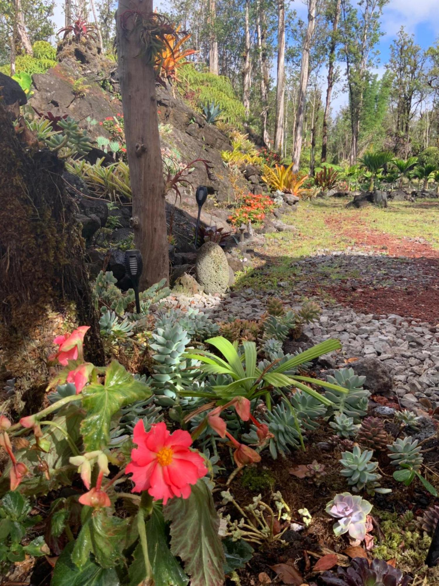 Exotic Garden Cottage At Amazing Volcano Fissure Mountain View Eksteriør bilde