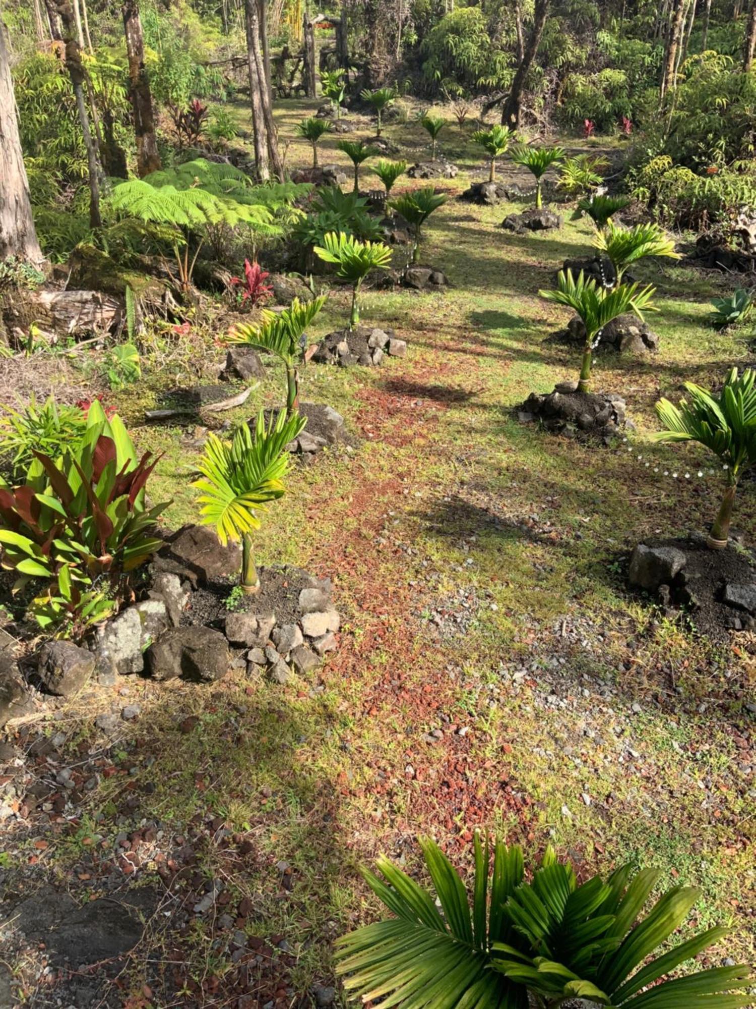 Exotic Garden Cottage At Amazing Volcano Fissure Mountain View Eksteriør bilde