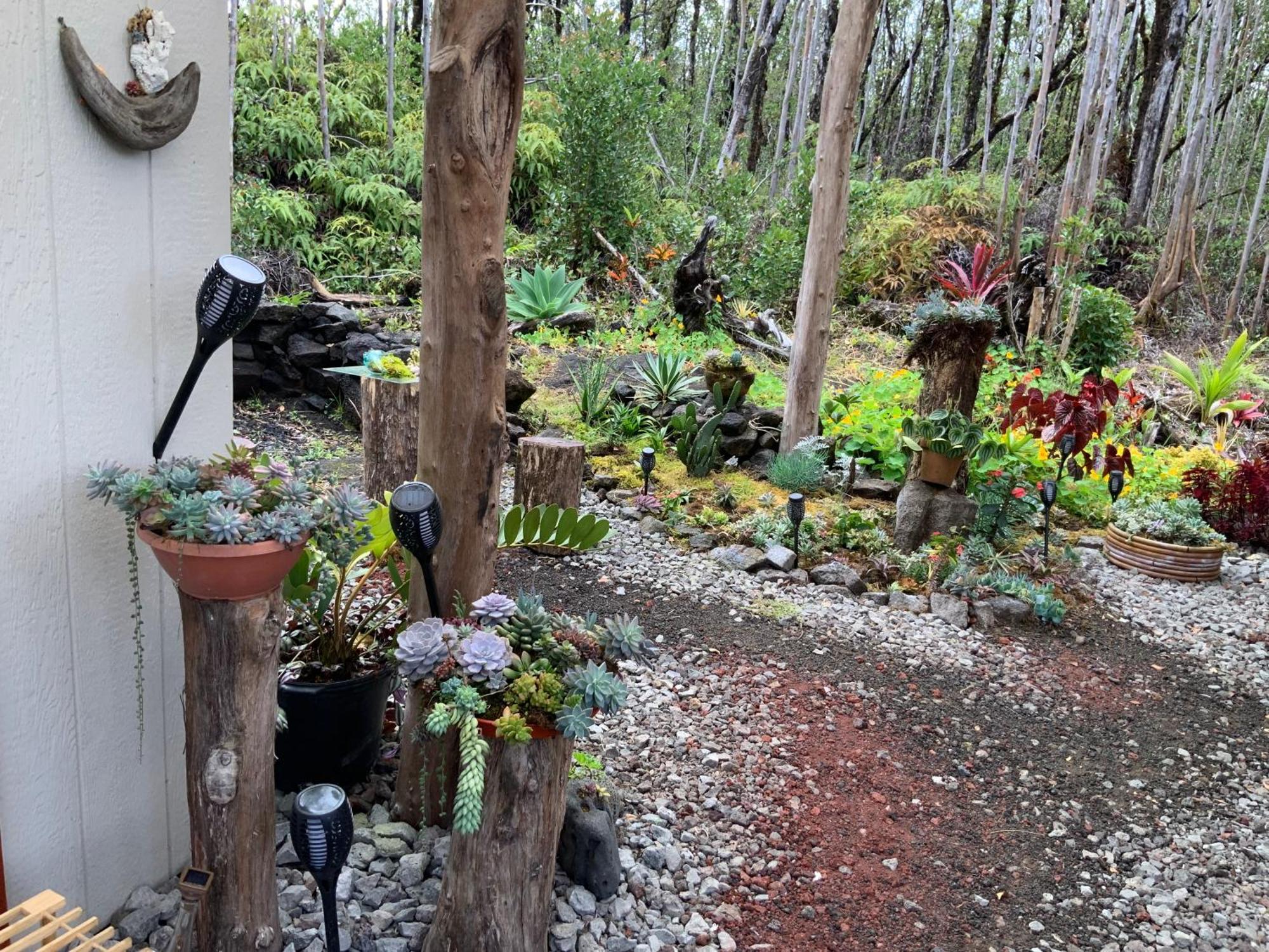 Exotic Garden Cottage At Amazing Volcano Fissure Mountain View Eksteriør bilde