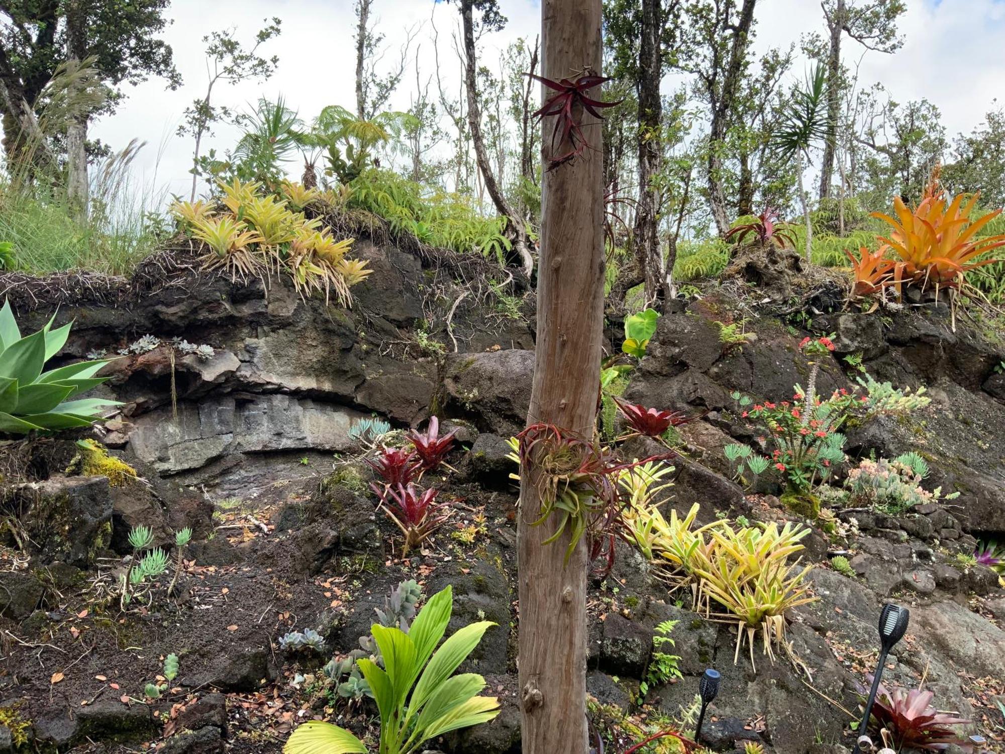 Exotic Garden Cottage At Amazing Volcano Fissure Mountain View Eksteriør bilde