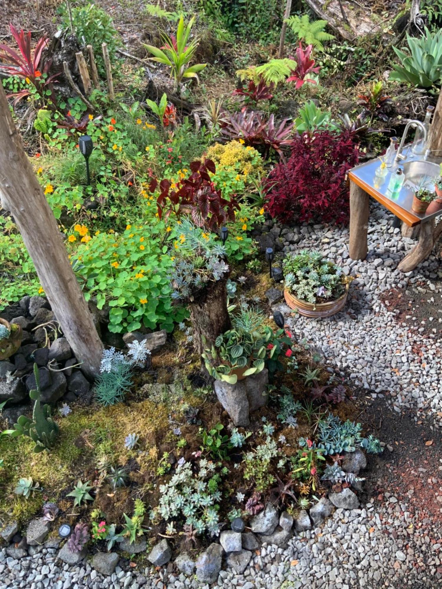 Exotic Garden Cottage At Amazing Volcano Fissure Mountain View Eksteriør bilde
