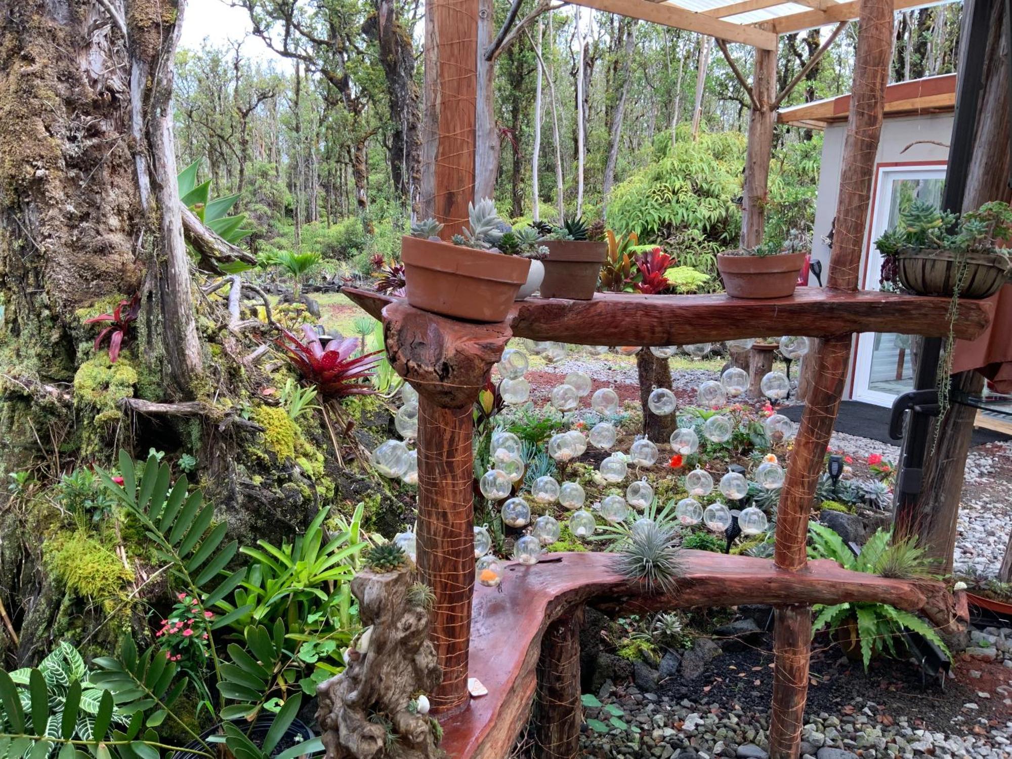 Exotic Garden Cottage At Amazing Volcano Fissure Mountain View Eksteriør bilde
