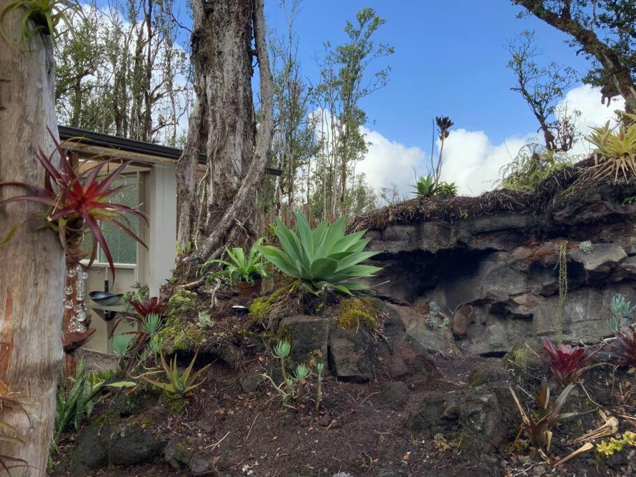 Exotic Garden Cottage At Amazing Volcano Fissure Mountain View Eksteriør bilde