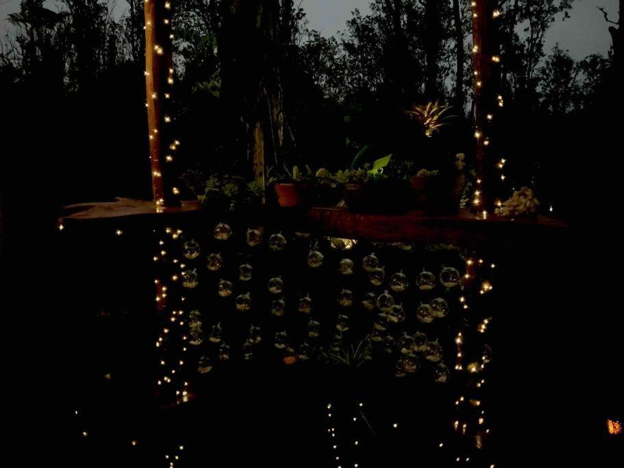 Exotic Garden Cottage At Amazing Volcano Fissure Mountain View Eksteriør bilde