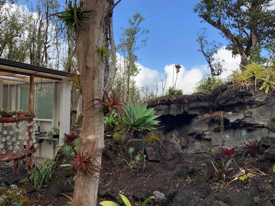 Exotic Garden Cottage At Amazing Volcano Fissure Mountain View Eksteriør bilde