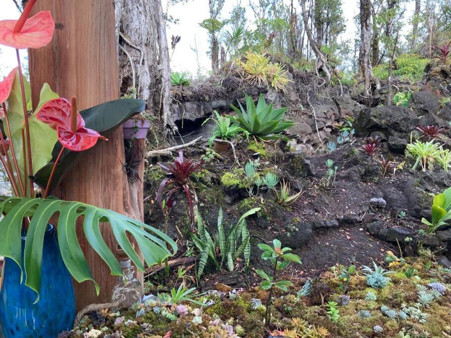 Exotic Garden Cottage At Amazing Volcano Fissure Mountain View Eksteriør bilde