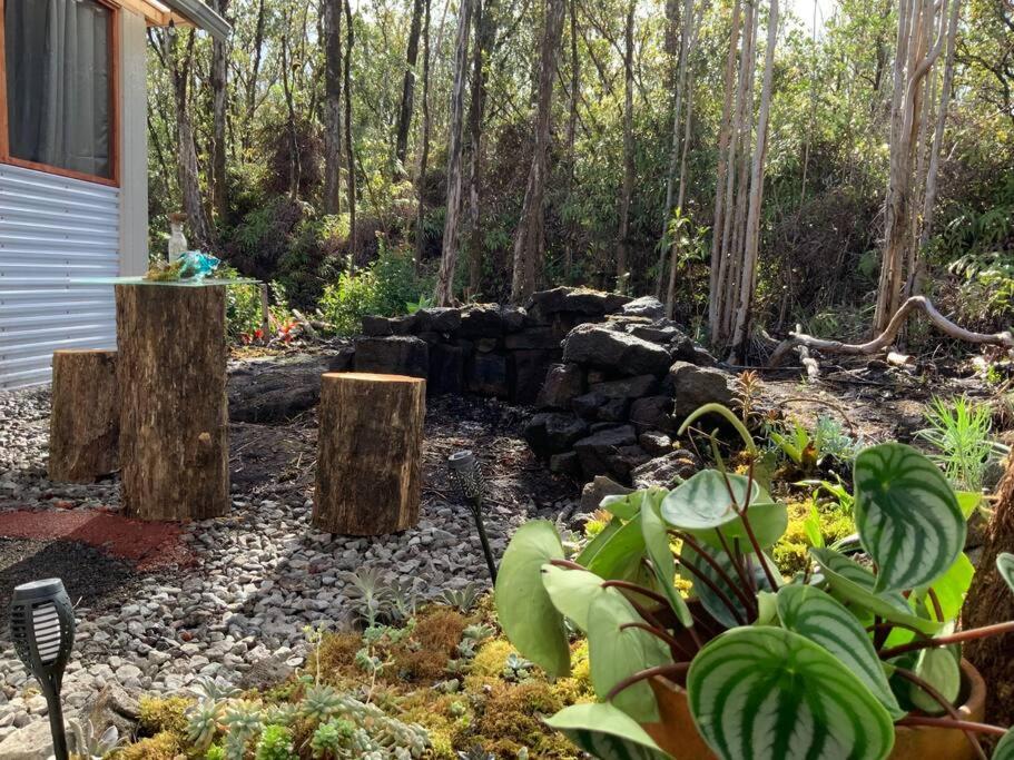Exotic Garden Cottage At Amazing Volcano Fissure Mountain View Eksteriør bilde