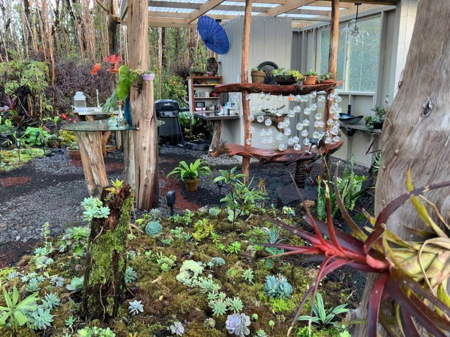 Exotic Garden Cottage At Amazing Volcano Fissure Mountain View Eksteriør bilde