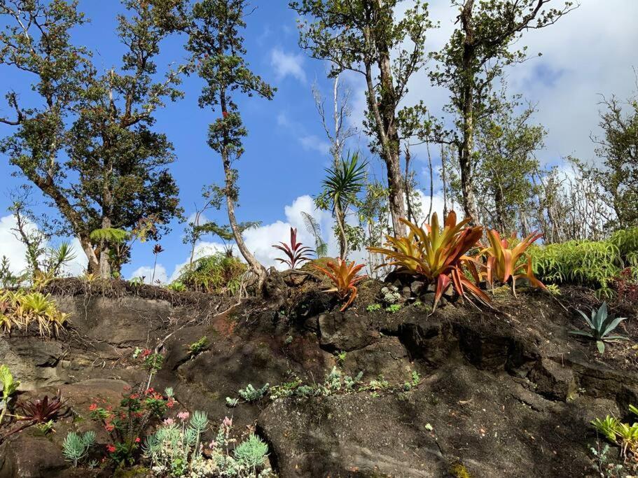 Exotic Garden Cottage At Amazing Volcano Fissure Mountain View Eksteriør bilde