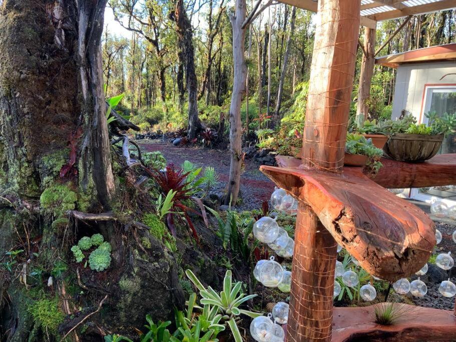 Exotic Garden Cottage At Amazing Volcano Fissure Mountain View Eksteriør bilde