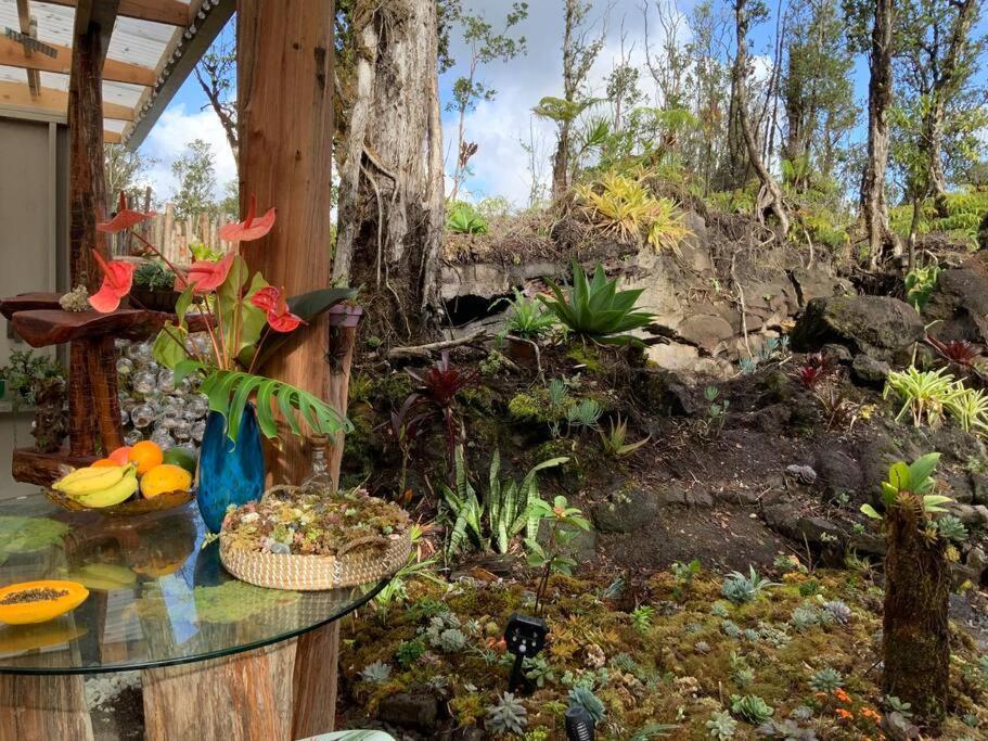 Exotic Garden Cottage At Amazing Volcano Fissure Mountain View Eksteriør bilde