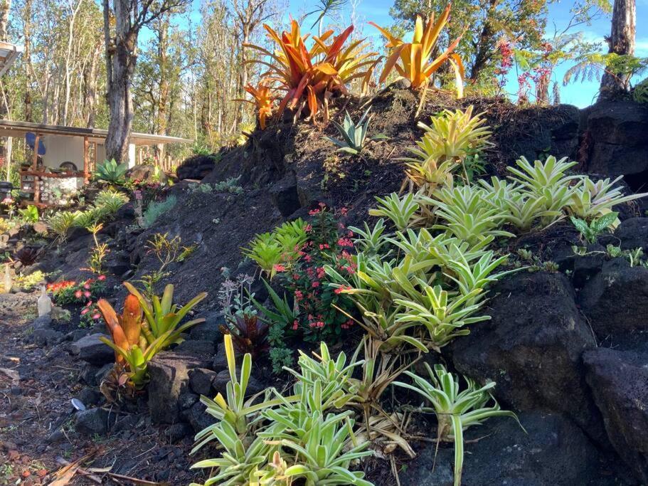 Exotic Garden Cottage At Amazing Volcano Fissure Mountain View Eksteriør bilde
