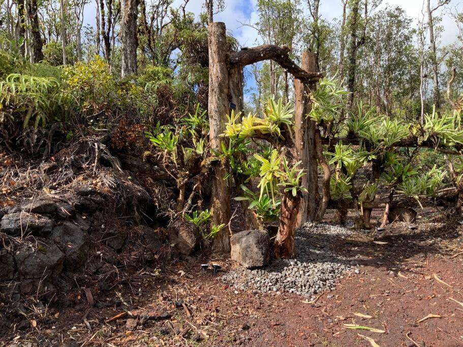 Exotic Garden Cottage At Amazing Volcano Fissure Mountain View Eksteriør bilde